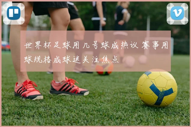 世界杯足球用几号球成热议 赛事用球规格成球迷关注焦点